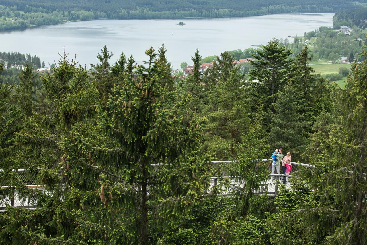 Apartman Lipno 50/18 Lipno nad Vltavou Dış mekan fotoğraf